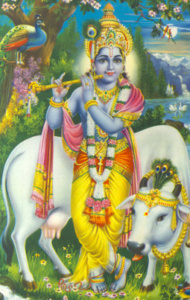 krishna